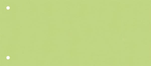 Baier-Schneider 100-pack gröna perforerade pappersdelare 10,5 x 24 cm (2 perforeringar)