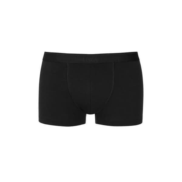 Boxer Lisca Hermes (x2)