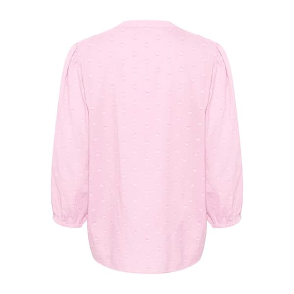 Damblus KAFFE Jollia
