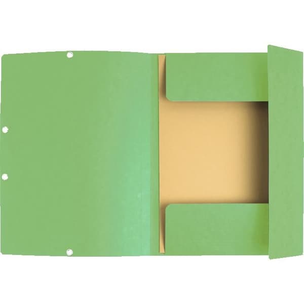 3-flikars elastisk mapp - EXACOMPTA - 55513E - A4 - Glanspapper 400 g/m² FSC - Förpackning 25 (Lind)