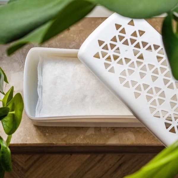 Wesper Set: absorbator och patron 500g