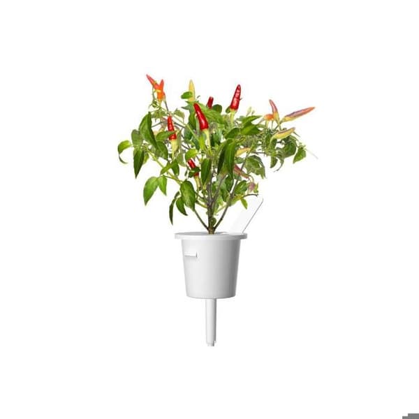 EMSA Set med 3 Click&Grow Chili-kapslar