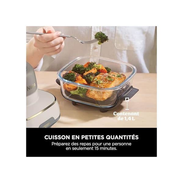 Oljegrill - Ninja - FN101EUSTGD - 3,8L - 4-i-1 - Bärbar