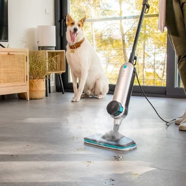 Cecotec Ångtvätt vertikal HydroSteam 3030 Active