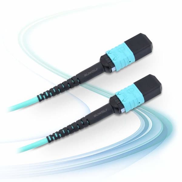 Fibrer optik Suwolf - MPO-12B3-1