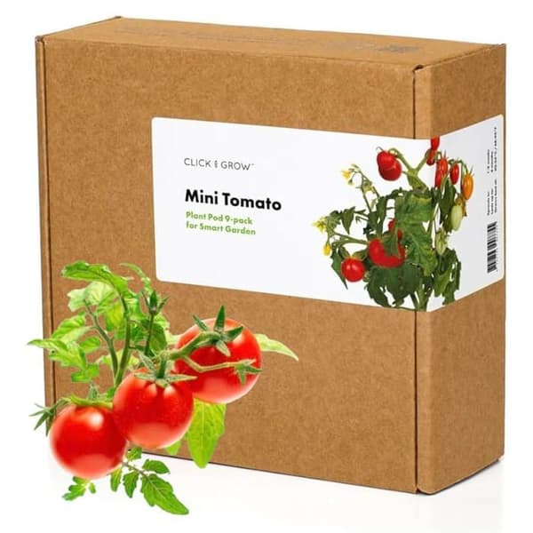 KLICKA OCH VÄX Refill - Minitomater