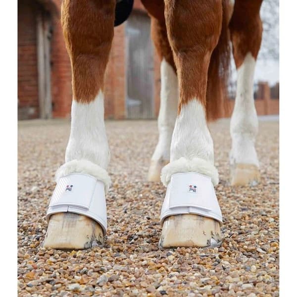 Skyddsglömma för häst Premier Equine Carbon Tech Techno Wool Över Reach