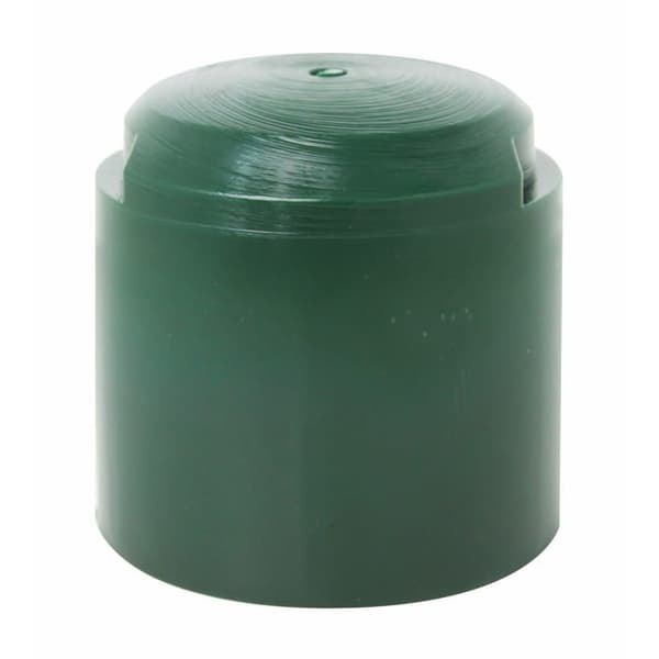Maillet Alberts - 211219