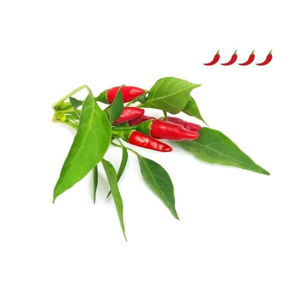 EMSA Set med 3 Click&Grow Chili-kapslar