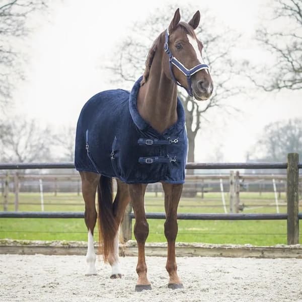 QHP Sensisoft polar täcke för häst - Blå - 185 cm