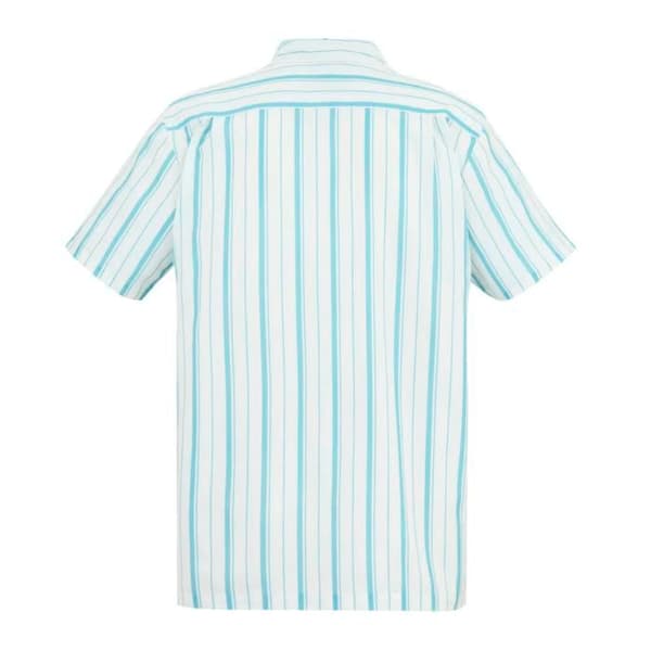Chemise Regatta Hadlin - vit/nordisk rand