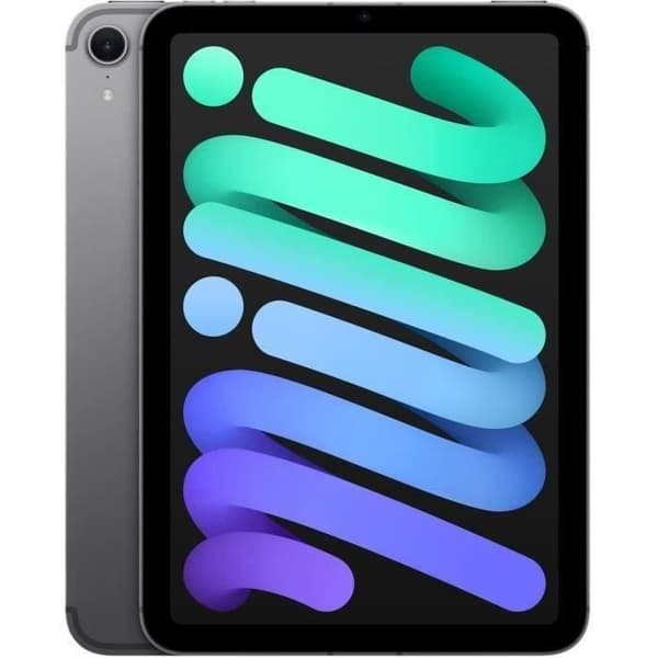 APPLE iPad mini (2024) - 8.3'' - WiFi + Cellular - 256 Go - Rymdgrå