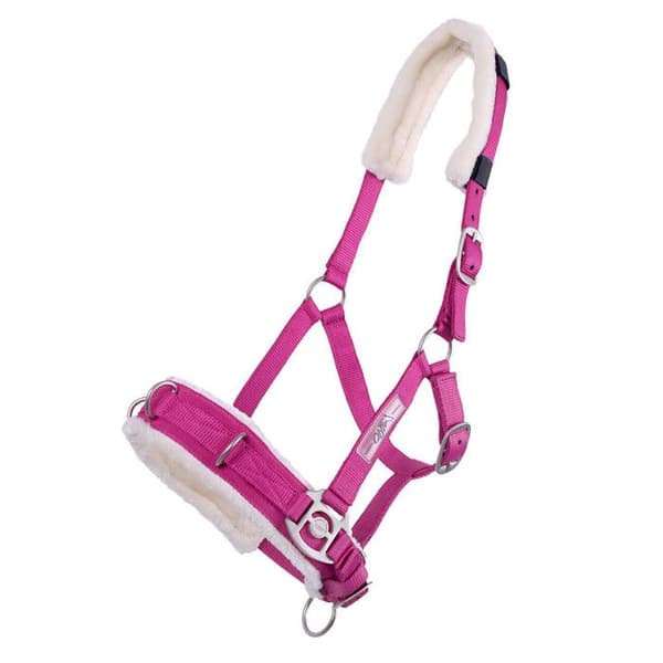 Caveçon QHP - fuchsia - Rosa - Full