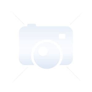 PLATINA - 100451