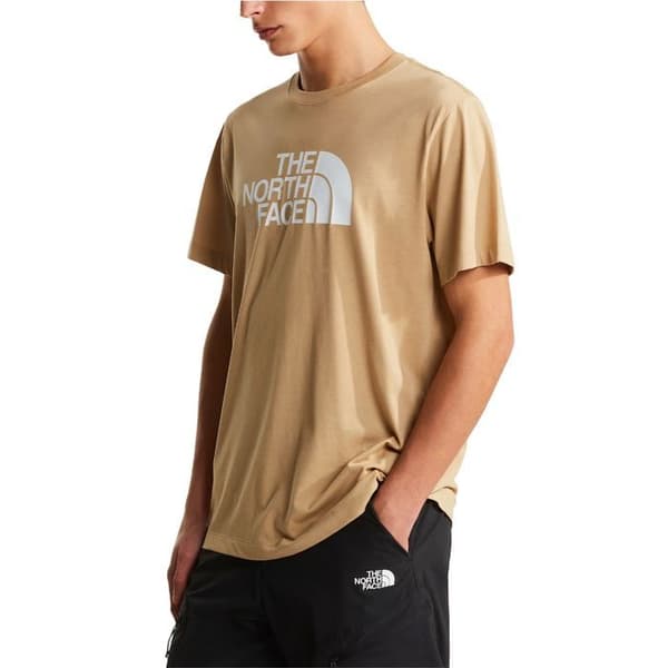 The North Face T-shirt Evolution Half Dome Beige - NF0A8B6JLK5