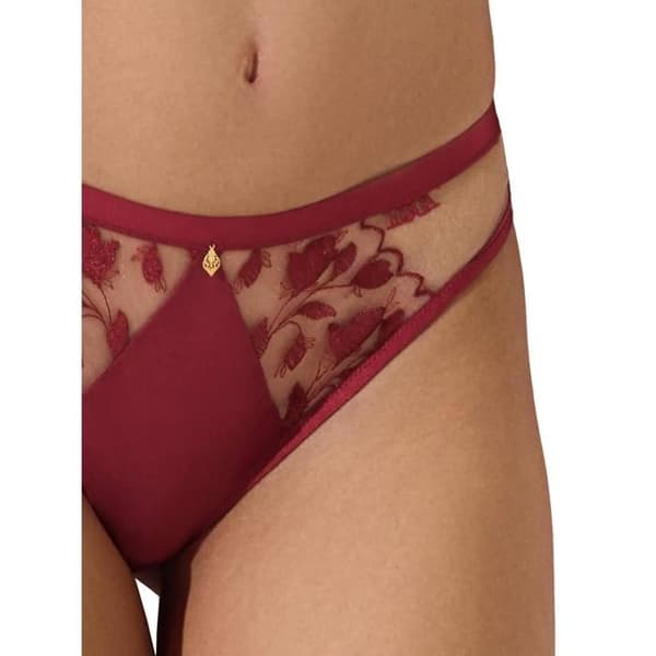 Culotte dam Lisca Gloriosa