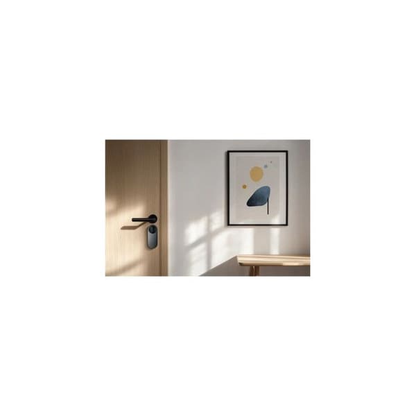 Aqara U200 Lite svart EL-D03D-B smartlås