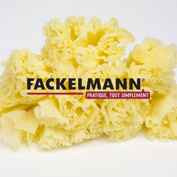 Girolle för ost 22 cm Fackelmann Boissellerie