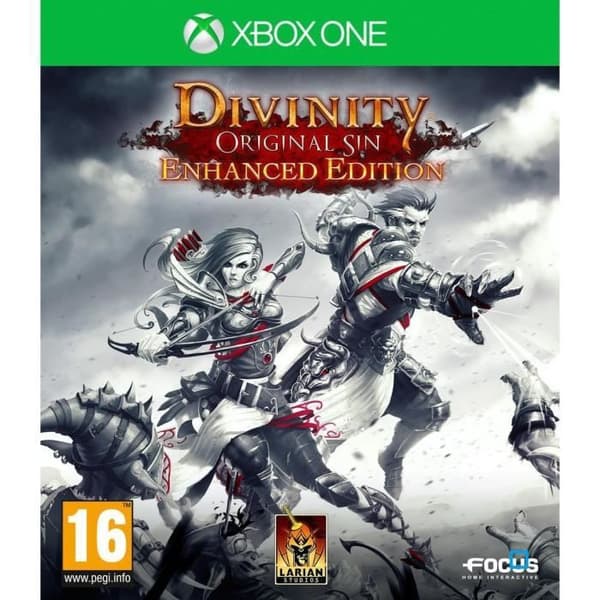 Divinity Original Sin Enhanced Edition Xbox One-spel