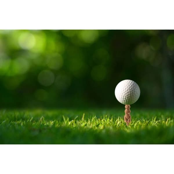 Kikkerland golftee - GG258 - Gopher golftee S/6