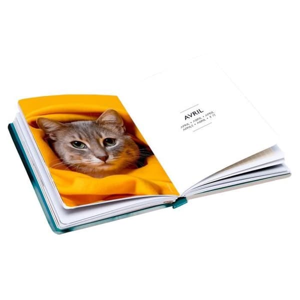 Pocket Diary 2025 - Katt - Draeger Paris