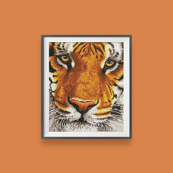Bengalisk magi