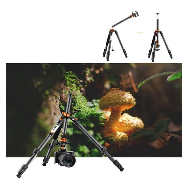 K&f kolfiberstativ d254c1 + kulled bh-28l