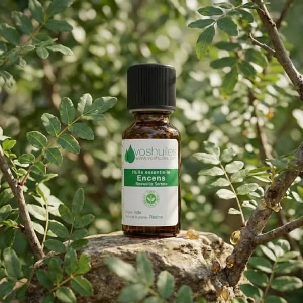 Eterisk Olja av Frankincense Förpackning 5ml