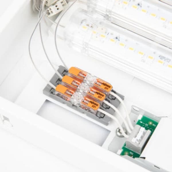 Box med 60 inline spakterminaler 4mm² 2 ledare - WAGO - 221-2411