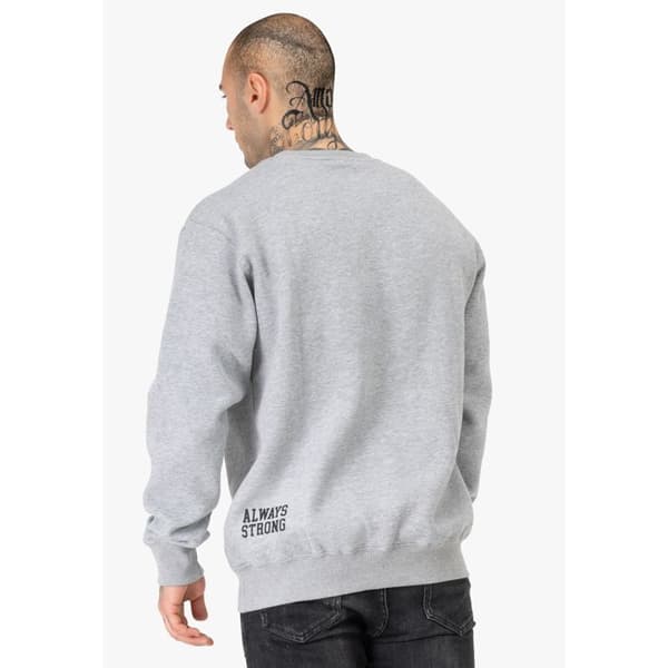 Sweatshirt med rund hals, regular fit Benlee Rinston