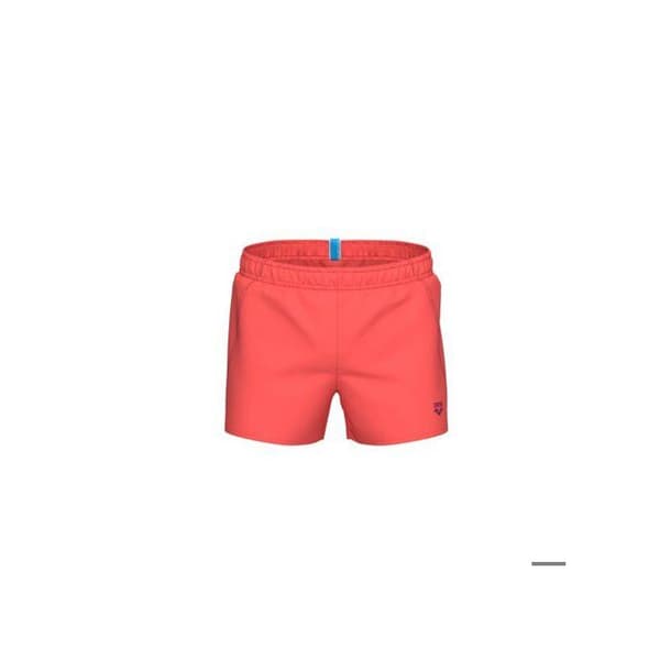 Arena Fundamentals badshorts