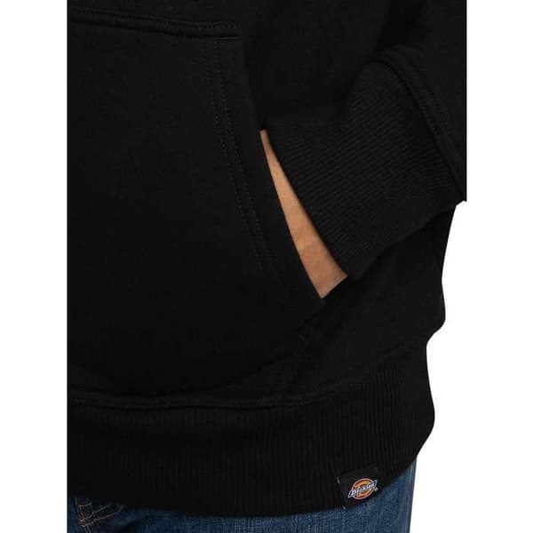 Sweatshirt Parrotsville - Dickies
