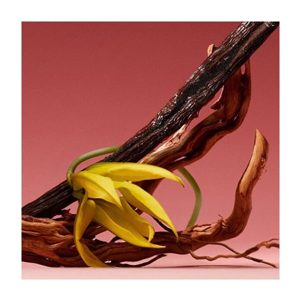 Eternity Amber Essence Intense - parfym - Volym: 50 ml