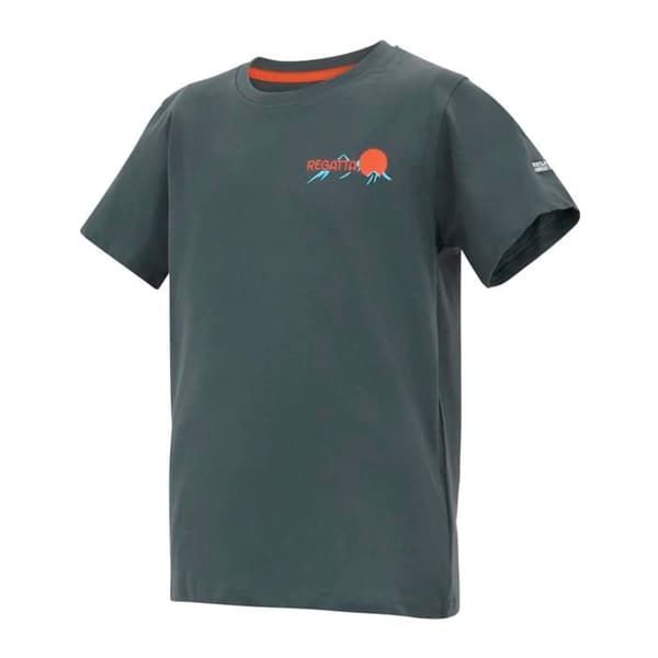 Barn T-shirt i bomull Regatta Bosley