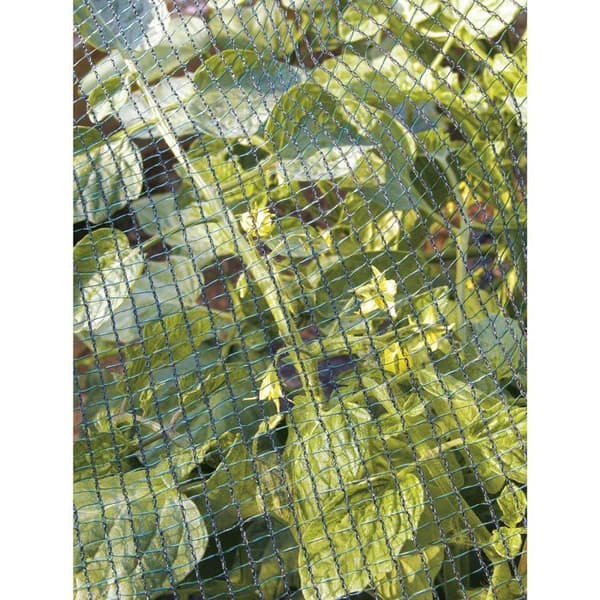Hagelskyddsnät TENAX 2 x 5 m förstärkt skydd