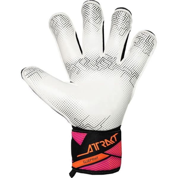Reusch Attrakt Advance Evolution Glueprint målvaktshandskar