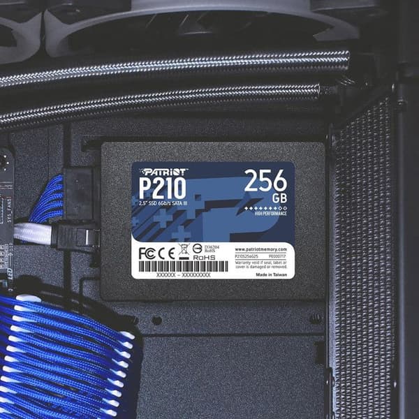PATRIOT P210 256 GB