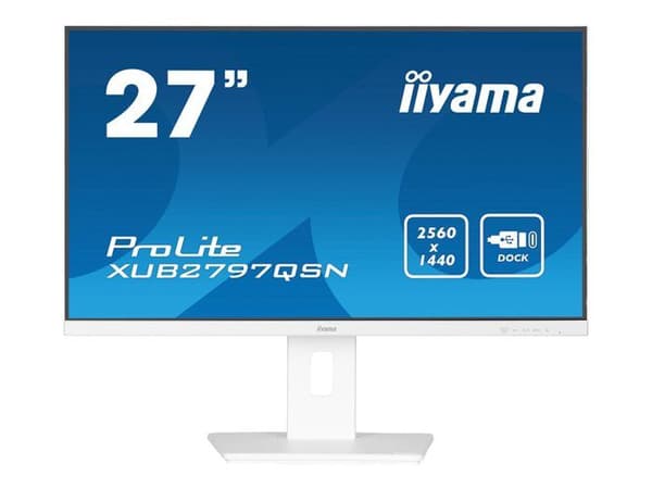 IIYAMA Namn: iiyama G-MASTER X