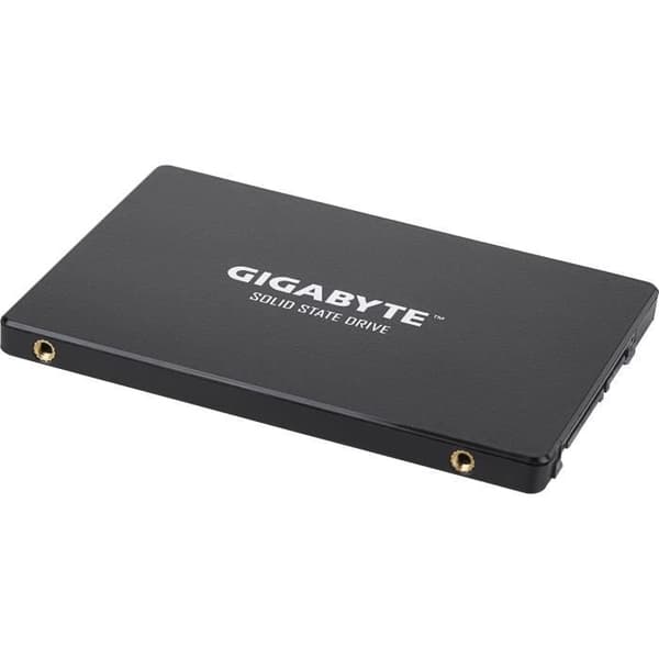 GIGABYTE - Intern Solid State Drive - 256 GB - 2,5" (GP-GSTFS31256GTND)