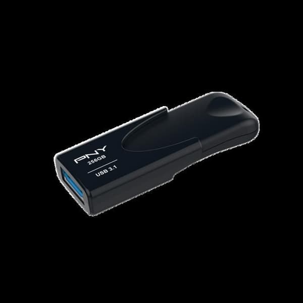 ATTACH 4 3.1 256GB FD256ATT431KK-EF