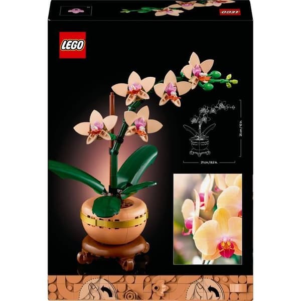 LEGO Botanicals 10343 Miniorkidé - Konstgjorda blommor - Presentidé