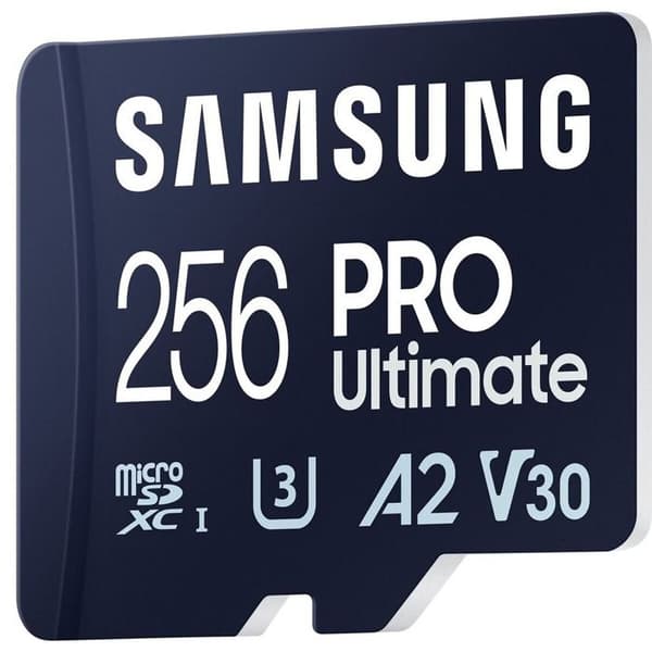 Samsung MB-MY256S 256 GB MicroSDXC UHS-I