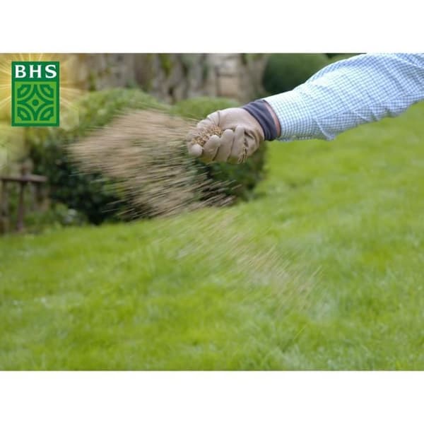 Gräsfrö - BHS - Gräs Reparation 3kg