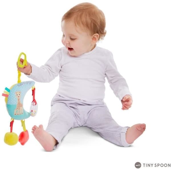 SOPHIE LA GIRAFFE Min speldosa