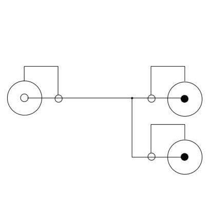 RCA hona audio Y-adapterkabel, 0,2m
