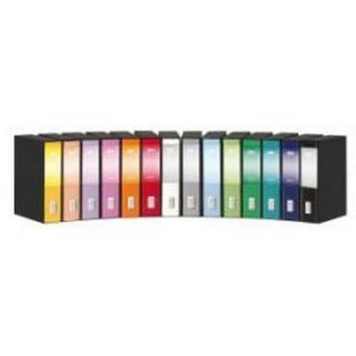 Ordnar - REXEL - Dox 2 - Svart - A4 - Med spak