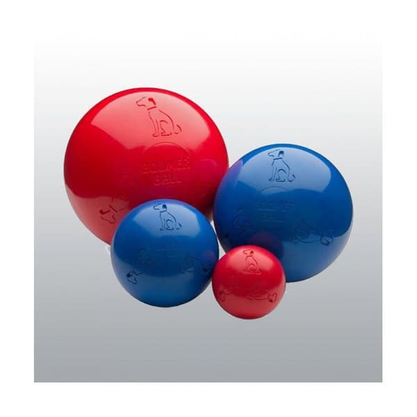 Boomer Ball 25cm