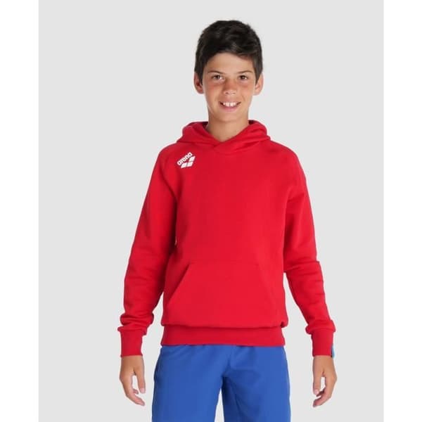 Barn hoodie Arena Team Panel
