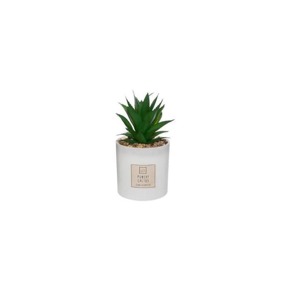 Kaktusdoftlåda - H 19,2 cm - Glas