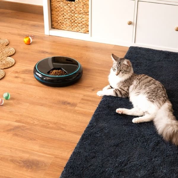Cecotec Automatisk foderleverans Pumba 1600 Purrfect Meal